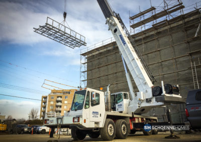 Crane (1 of 1)